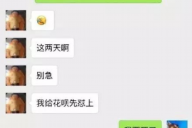 偃师贷款清欠服务