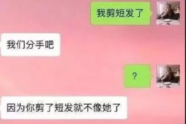 偃师融资清欠服务